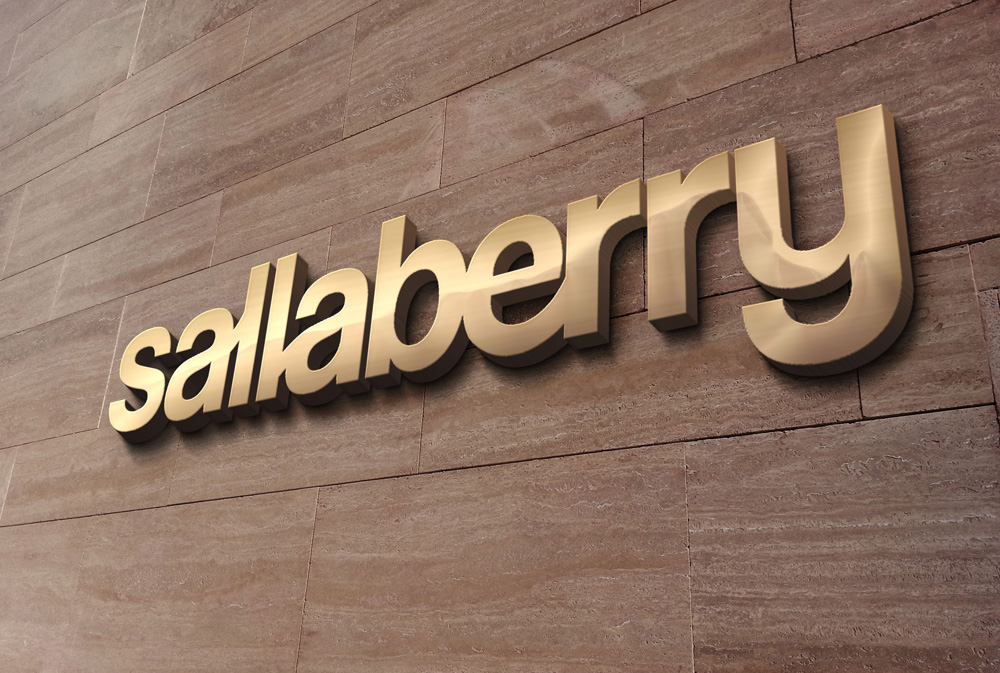 Logo Enseigne Sallaberry